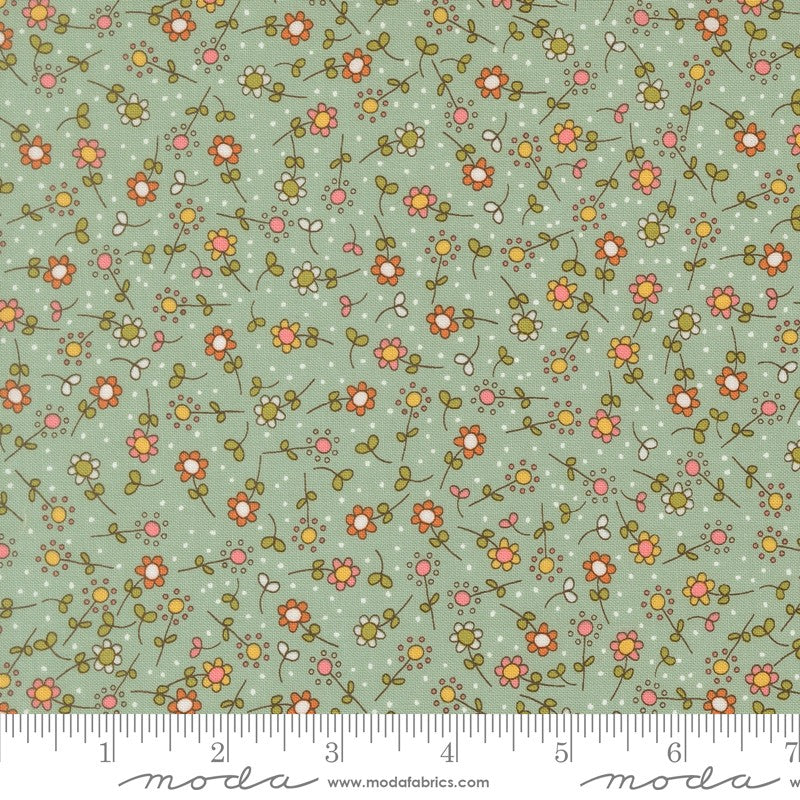 Bug Collector - Fat Quarter Bundle - Sweetwater - Moda (Pre-order: Nov 2026)