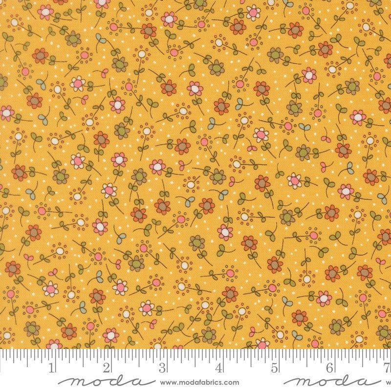 Bug Collector - Fat Quarter Bundle - Sweetwater - Moda (Pre-order: Nov 2026)