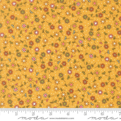 Bug Collector - Fat Quarter Bundle - Sweetwater - Moda (Pre-order: Nov 2026)