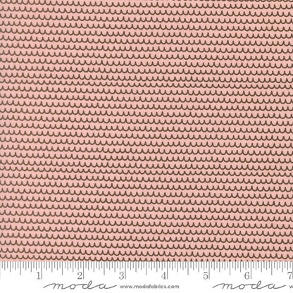 Bug Collector - Jelly Roll - Sweetwater - Moda (Pre-order: Nov 2026)