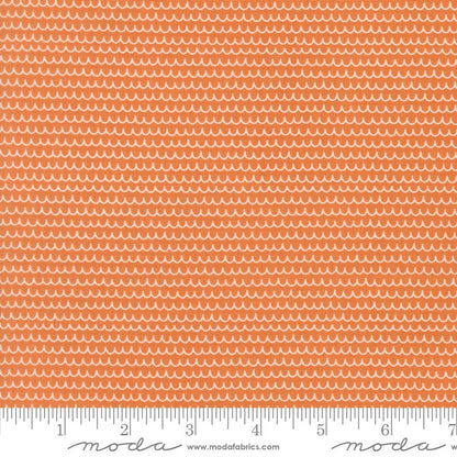 Bug Collector - Charm Pack - Sweetwater - Moda (Pre-order: Nov 2026)