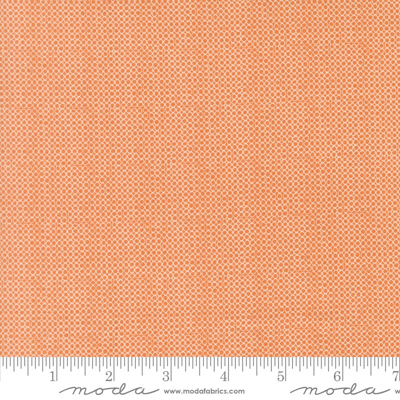 Bug Collector - Fat Quarter Bundle - Sweetwater - Moda (Pre-order: Nov 2026)