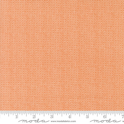 Bug Collector - Fat Quarter Bundle - Sweetwater - Moda (Pre-order: Nov 2026)