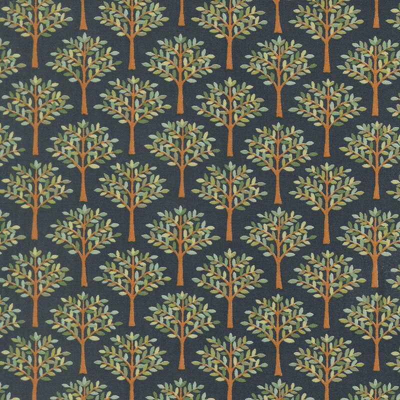 Family Tree - Night Sky 6163-15 - Deb Strain - Moda
