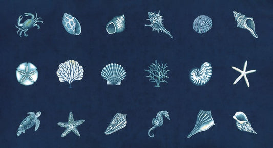 Seaside - Blocks PANEL in Deep Sea - Deb Strain - Moda (Pre-order: Feb 2027)
