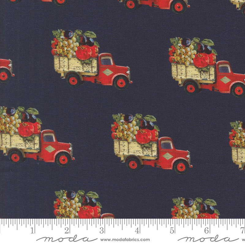 Farm and Garden - 7475-16 in Indigo - Cathe Holden - Moda