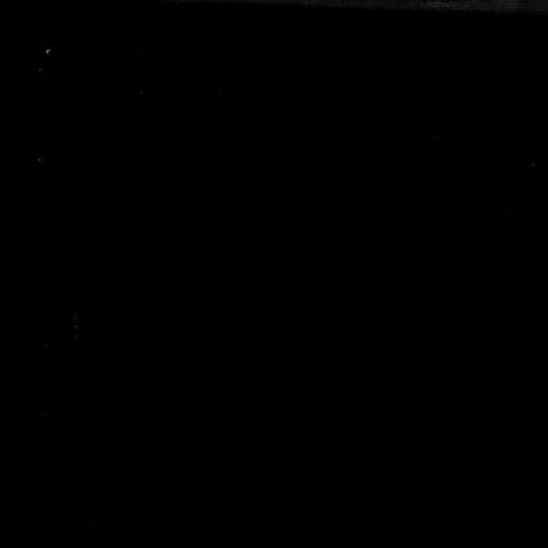 Fireside Backing Fabric (90") - Black