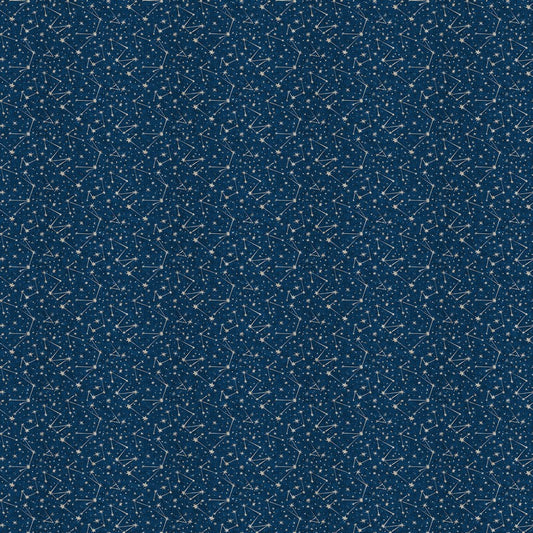 Sea of Wonder - Stars in Navy - Esther Fallon Lou - FIGO (Northcott) (Pre-order: Dec 2026)