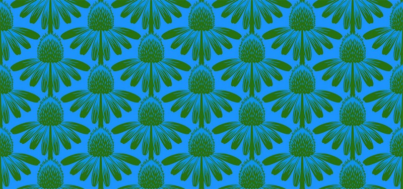 Indelible - Coneflower in Pool - Anna Maria Textiles (Northcott)