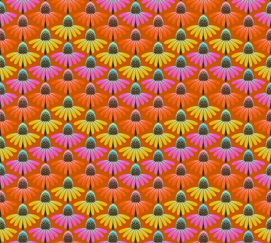 Perennial Borders - Echinacea Rhythm in Fire - Anna Maria Textiles (Northcott)