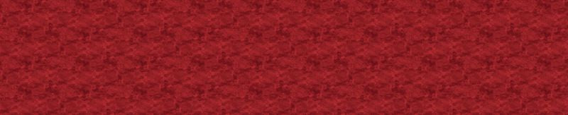 Toscana 108" Wide Back - Hot Sauce - Deborah Edwards - Northcott (Pre-order: May 2026)