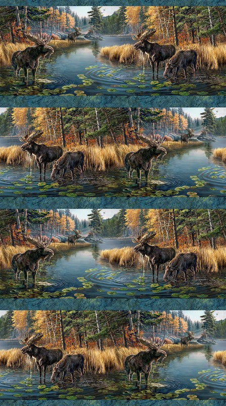 Autumn Woodland - Border Stripe in Blue Multi - James Meger - Northcott