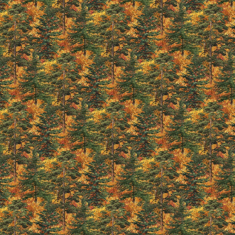 Autumn Woodland - Trees in Rust - James Meger - Northcott