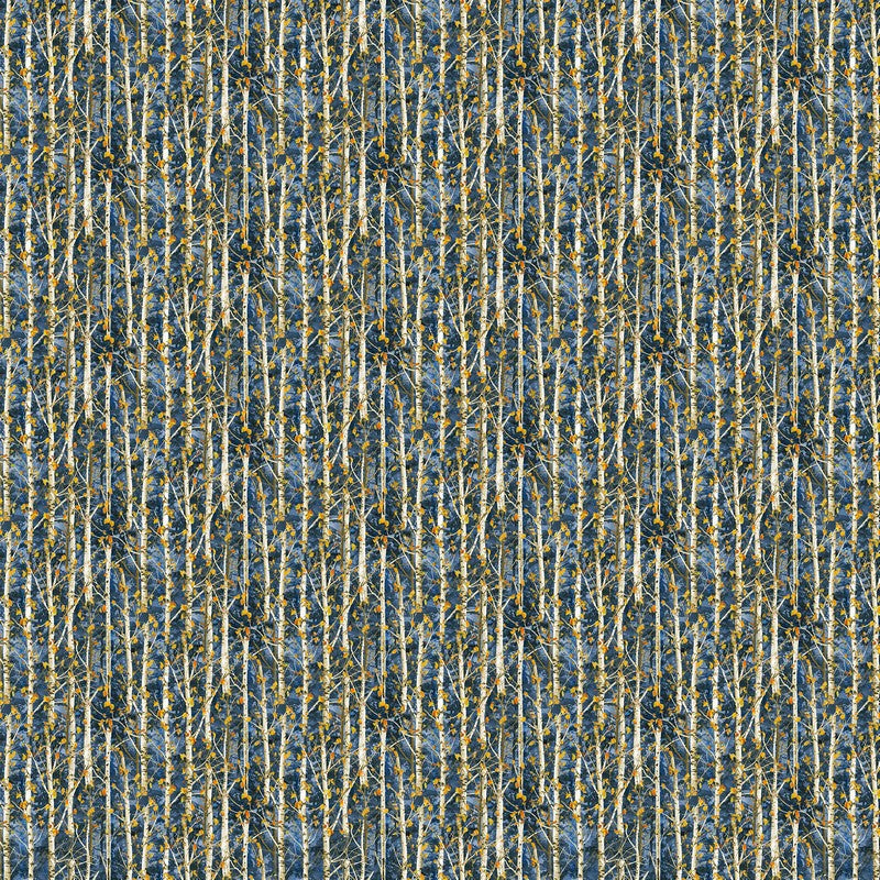 Timber Trail - Birch Trees in Blue - James Meger - Northcott