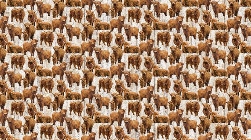 Highland Home - Cows in Beige - Jason Kirk - Northcott