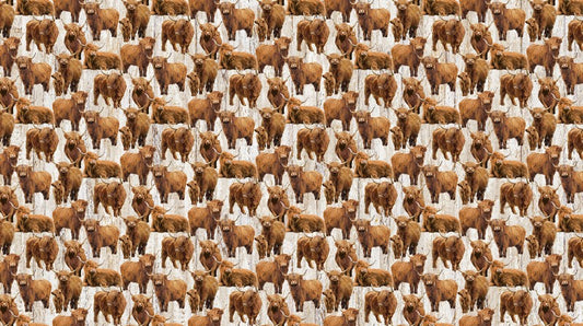 Highland Home - Cows in Beige - Jason Kirk - Northcott