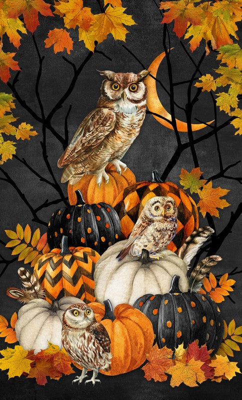 Night Owl - Panel in Charcoal - Deborah Edwards - Northcott (Pre-order: June 2026)