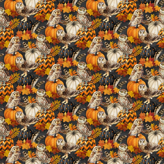 Night Owl - Owl & Feathers in Charcoal - Deborah Edwards - Northcott (Pre-order: June 2026)