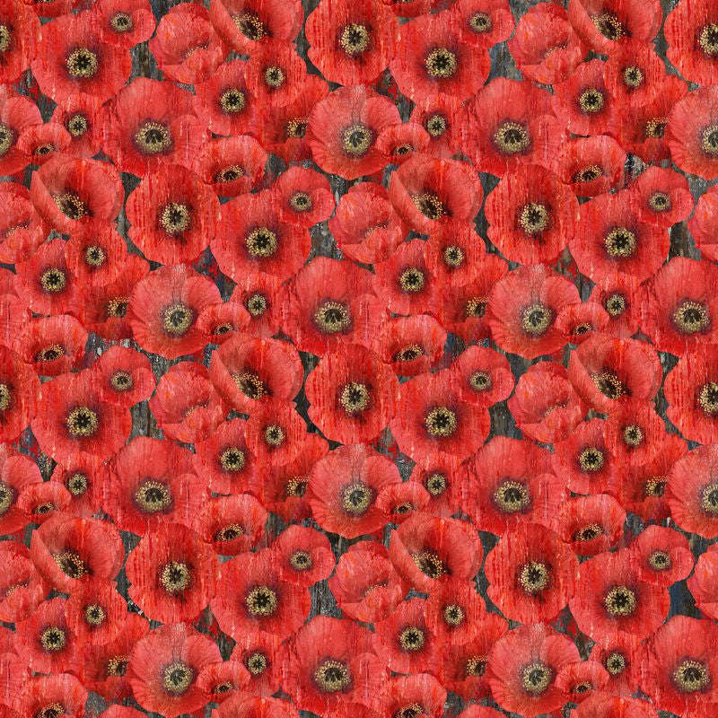 Poppy Meadow - Packed Poppy in Charcoal - Northcott (Pre-order: May 2026)