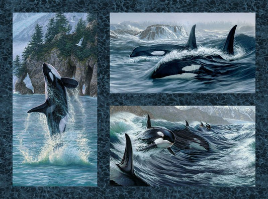 Voyage - Panel in Blue - Lee Kromschroeder - Northcott (Pre-order: Aug 2026) - Dinkydoo Fabrics