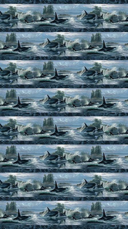 Voyage - Border Stripe in Blue - Lee Kromschroeder - Northcott (Pre-order: Aug 2026) - Dinkydoo Fabrics