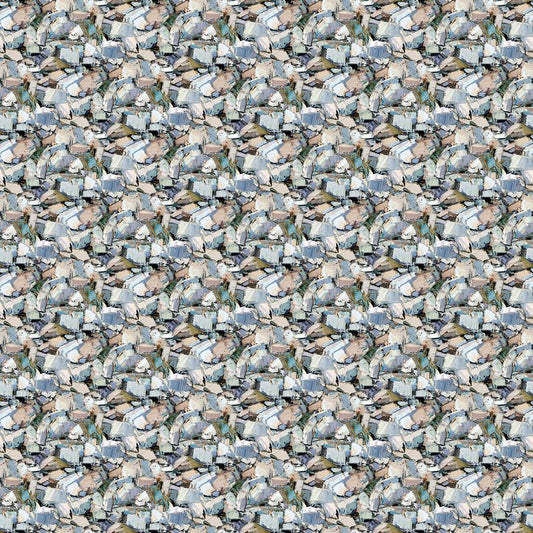 Canoe Lake - Rocks in Grey - Iosif Derecichei - Northcott (Pre-order: Aug 2026) - Dinkydoo Fabrics
