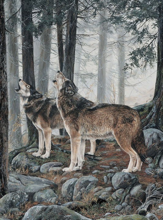 Guardians - Panel in Light Grey - Deborah Edwards - Northcott (Pre-order: Nov 2026)