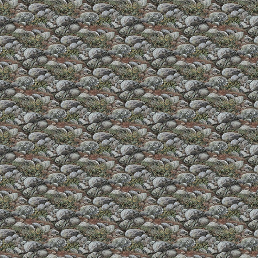 Guardians - Boulders in Dark Grey - Deborah Edwards - Northcott (Pre-order: Nov 2026)