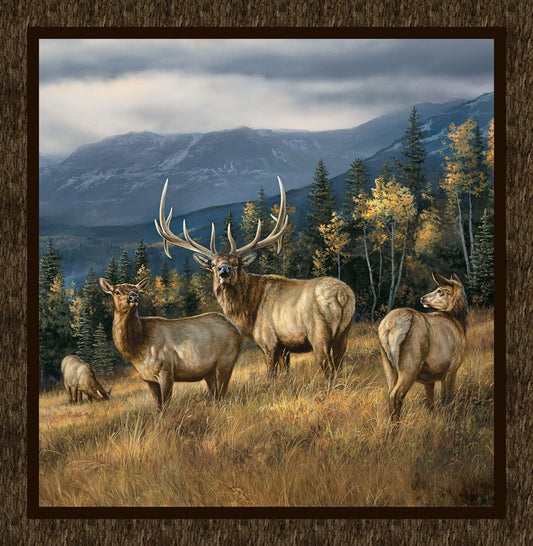 Highland Ridge - PANEL in Brown - Deborah Edwards & Rosemary Millette - Northcott (Pre-order: Dec 2026)
