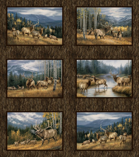 Highland Ridge - Blocks in Brown - Deborah Edwards & Rosemary Millette - Northcott (Pre-order: Dec 2026)