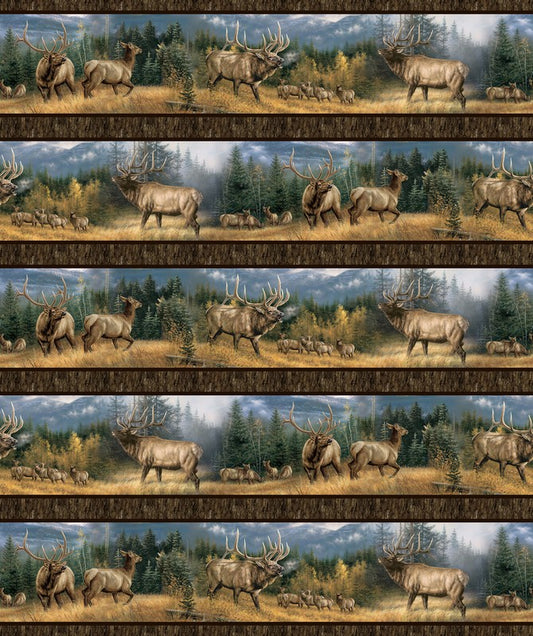 Highland Ridge - Border Stripe in Brown - Deborah Edwards & Rosemary Millette - Northcott (Pre-order: Dec 2026)