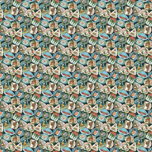 Happy Camper - Camping Badges in Teal - Deborah Edwards - Northcott (Pre-order: Jan 2027)