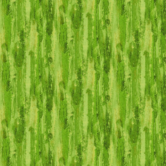 Sunny Day - Vertical Texture in Green - Iosif Derecichei - Northcott (Pre-order: Apr 2027)