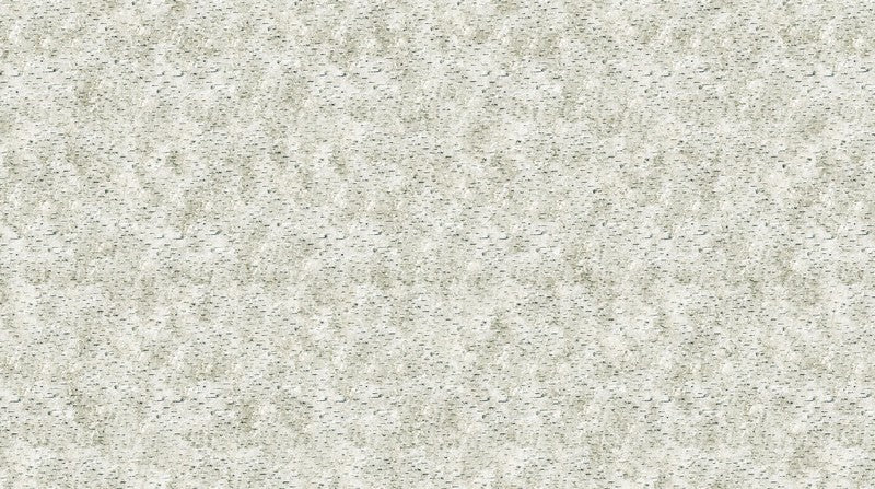 Evening Song - Birch Texture in Taupe - Linda Ludovico - Northcott (Pre-order: Jan 2027)