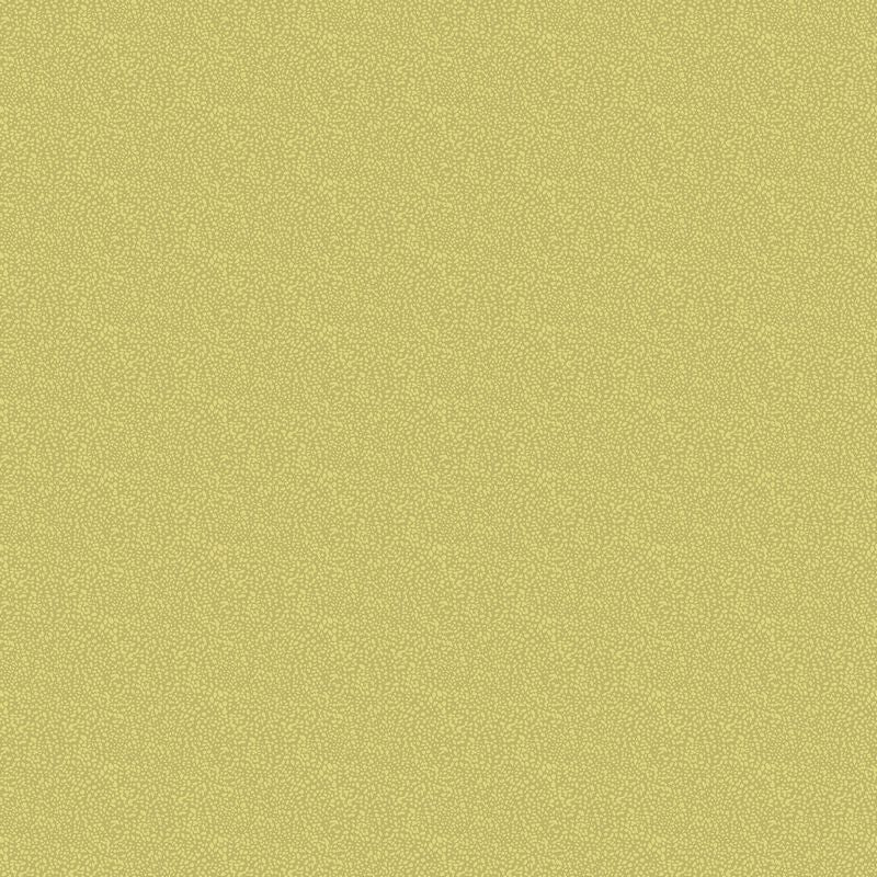 Bugs & Blooms - Dots in Light Olive - Pat Scheurich - Northcott (Pre-order: May 2027)