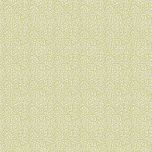 Thankful & Blessed - Seed Blender in Beige - Deborah Edwards - Northcott (Pre-order: Apr 2027)