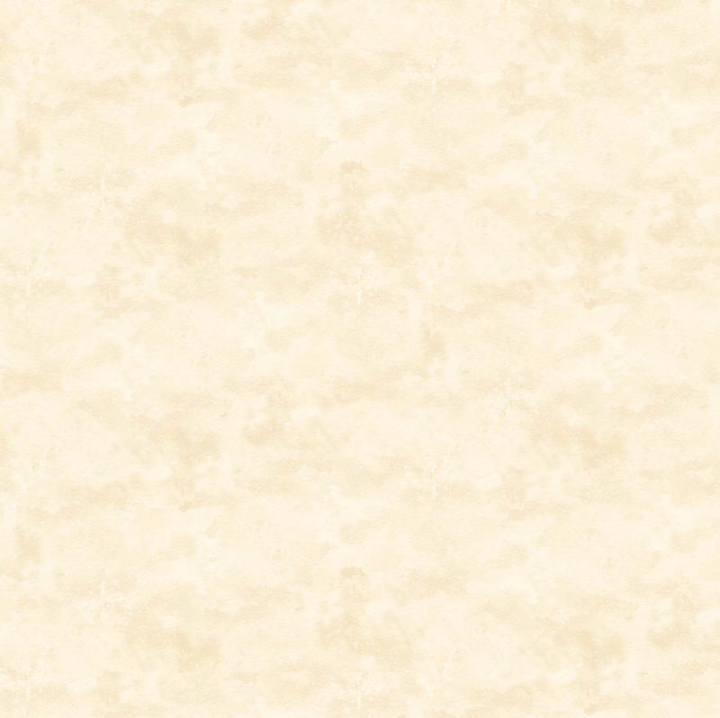 Toscana Basics - Ivory (9020-11) - Northcott - Dinkydoo Fabrics