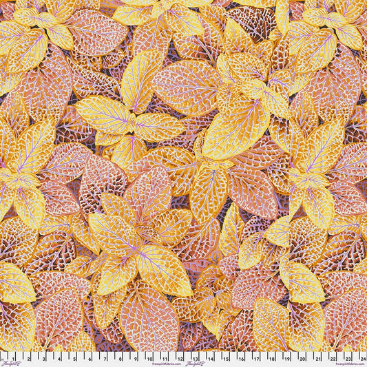 Kaffe Fassett Collective August 2024 - Fittonia in Gold - Free Spirit (Pre-order: Aug 2024)