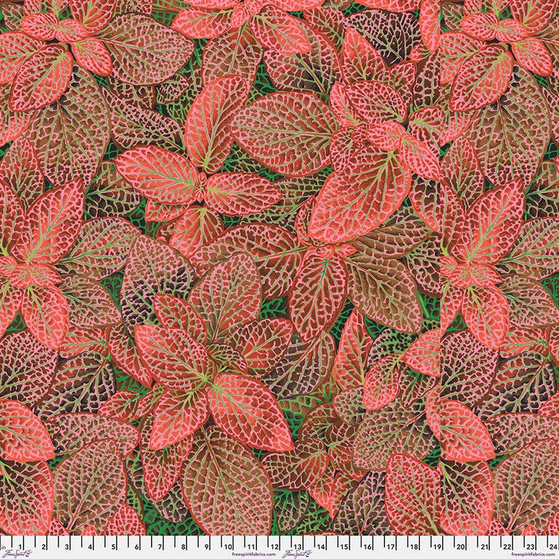 Kaffe Fassett Collective August 2024 - Fittonia in Red - Free Spirit (Pre-order: Aug 2024)