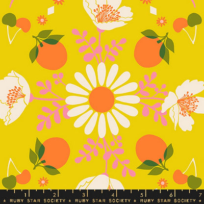 Juicy - Jelly Roll - Melody Miller - Ruby Star Society - Dinkydoo Fabrics