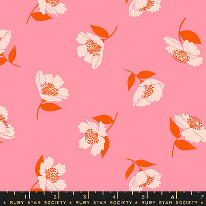 Juicy - Jelly Roll - Melody Miller - Ruby Star Society - Dinkydoo Fabrics