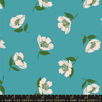 Juicy - Jelly Roll - Melody Miller - Ruby Star Society - Dinkydoo Fabrics