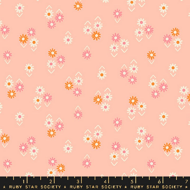 Juicy - Jelly Roll - Melody Miller - Ruby Star Society - Dinkydoo Fabrics