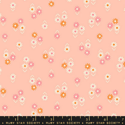 Juicy - Jelly Roll - Melody Miller - Ruby Star Society - Dinkydoo Fabrics