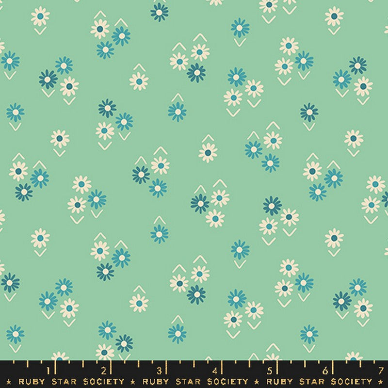 Juicy - Jelly Roll - Melody Miller - Ruby Star Society - Dinkydoo Fabrics