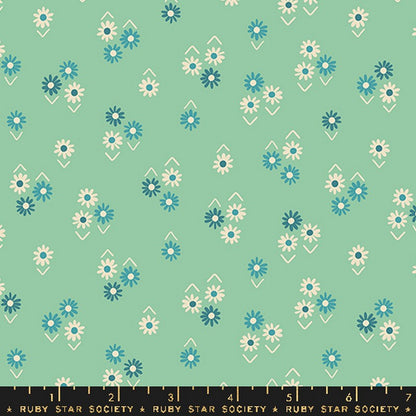 Juicy - Jelly Roll - Melody Miller - Ruby Star Society - Dinkydoo Fabrics