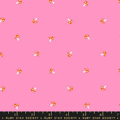 Carousel - Jelly Roll - Melody Miller - Ruby Star Society