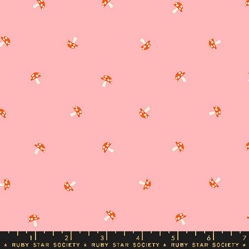 Carousel - Jelly Roll - Melody Miller - Ruby Star Society