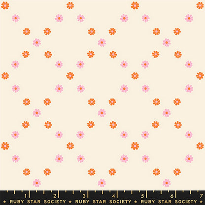 Best Day Ever - Jelly Roll - Melody Miller - Ruby Star Society (Pre-order: Jan 2026)