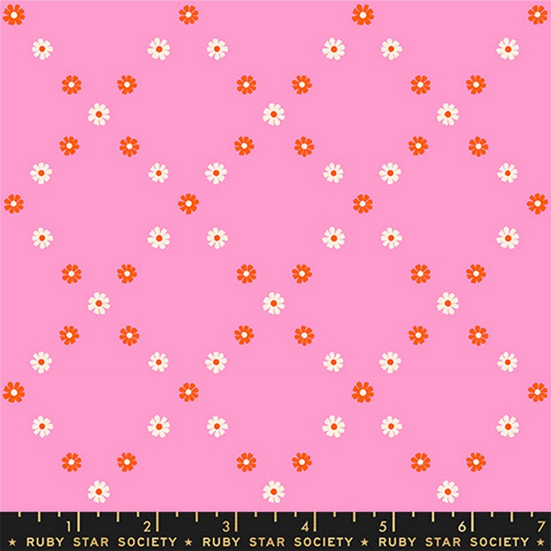 Best Day Ever - Jelly Roll - Melody Miller - Ruby Star Society (Pre-order: Jan 2026)